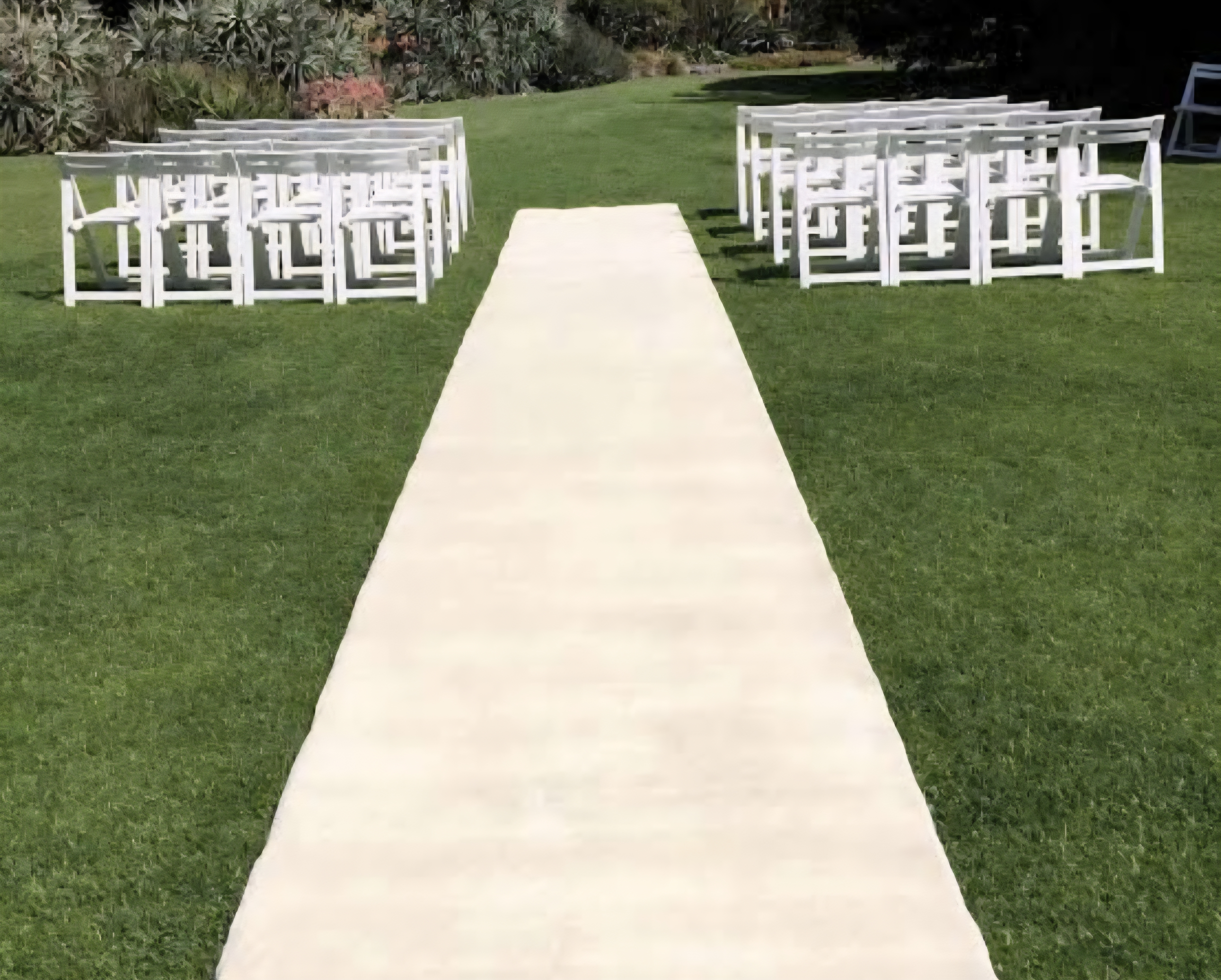 ivory_carpet